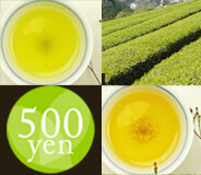 ワンコイン土佐茶